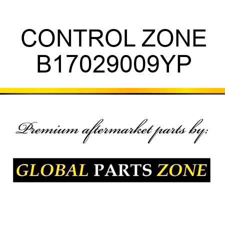 CONTROL ZONE B17029009YP