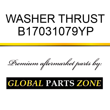 WASHER THRUST B17031079YP