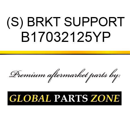 (S) BRKT SUPPORT B17032125YP