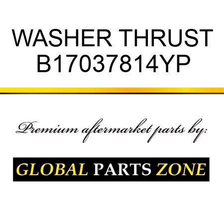 WASHER THRUST B17037814YP