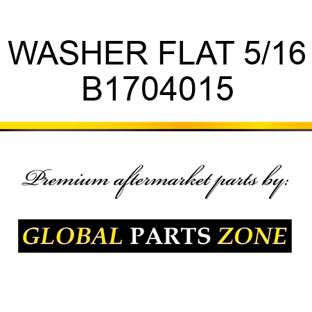 WASHER FLAT 5/16 B1704015