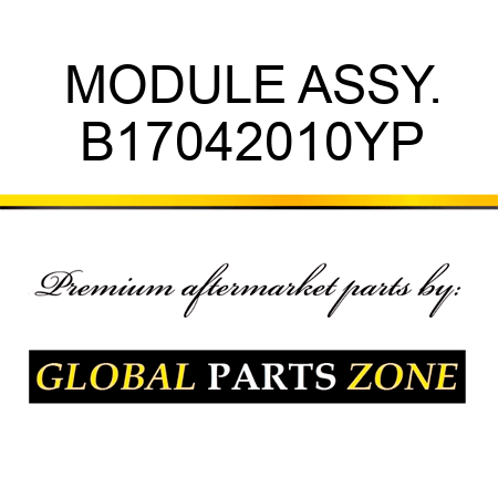 MODULE ASSY. B17042010YP