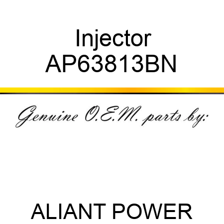 Injector  AP63813BN 