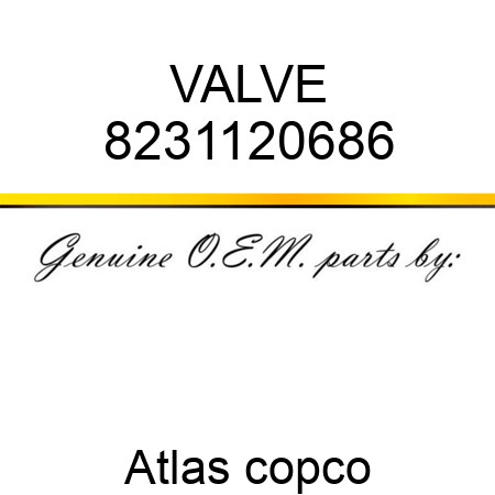 VALVE 8231120686