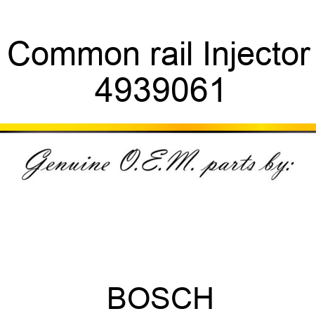 Common rail Injector 4939061
