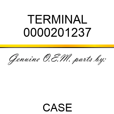 TERMINAL 0000201237
