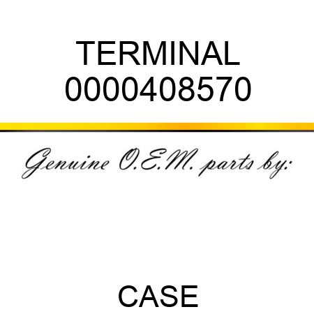 TERMINAL 0000408570