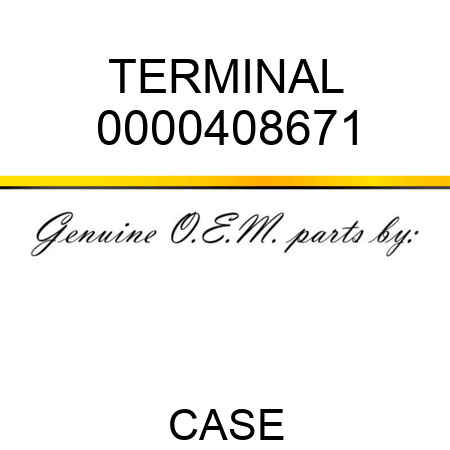 TERMINAL 0000408671