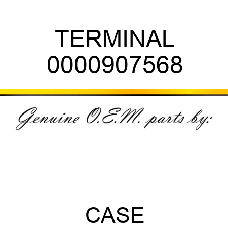 TERMINAL 0000907568