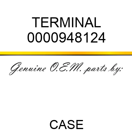 TERMINAL 0000948124