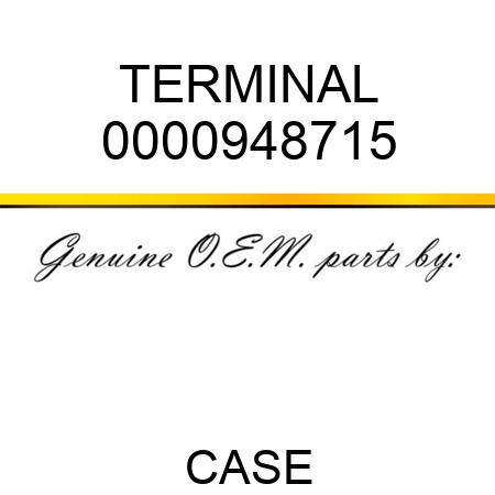 TERMINAL 0000948715