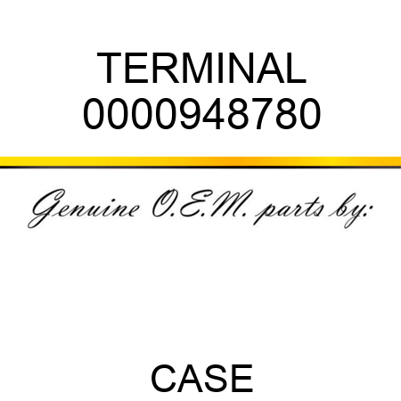 TERMINAL 0000948780