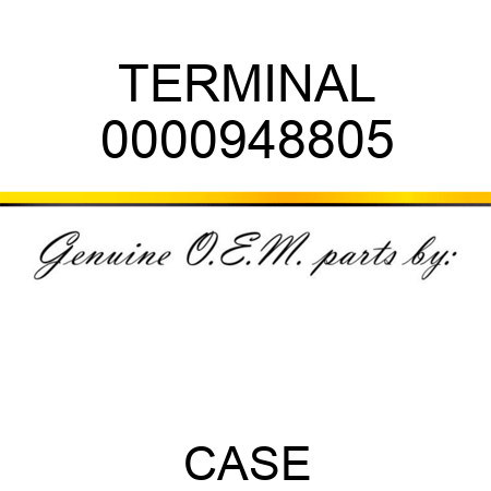 TERMINAL 0000948805