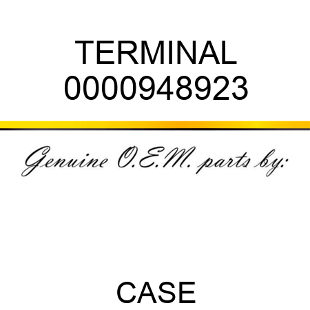 TERMINAL 0000948923