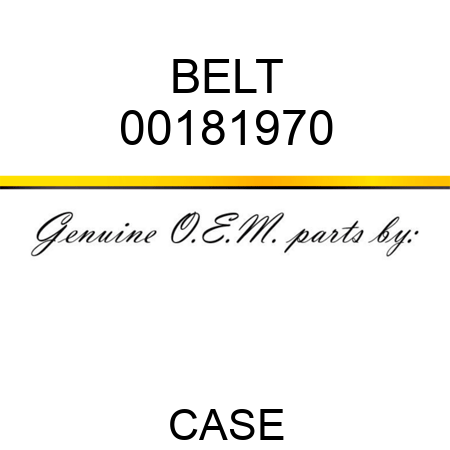 BELT 00181970