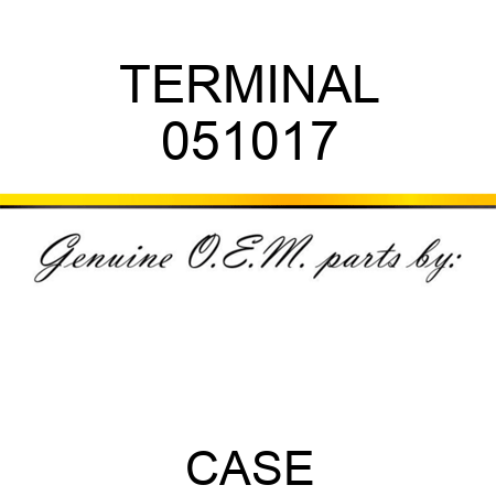 TERMINAL 051017