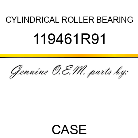 CYLINDRICAL ROLLER BEARING 119461R91