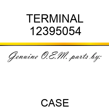TERMINAL 12395054