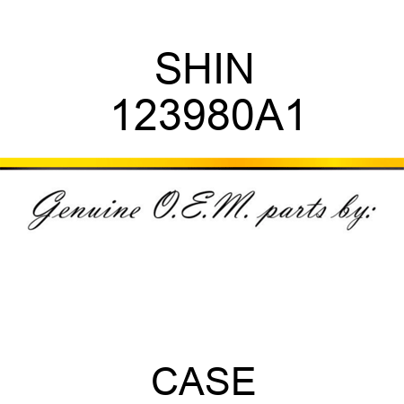 SHIN 123980A1