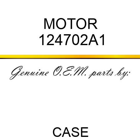 MOTOR 124702A1