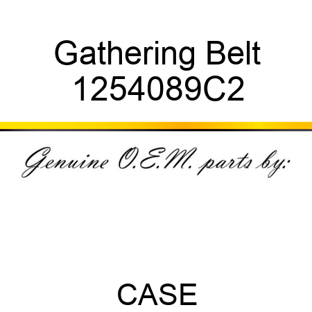 Gathering Belt 1254089C2