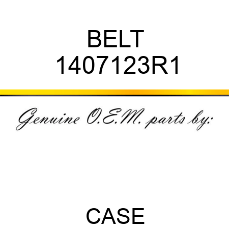 BELT 1407123R1