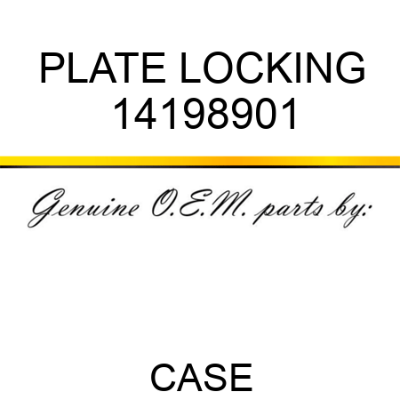 PLATE, LOCKING 14198901