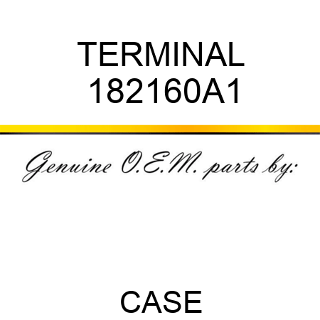 TERMINAL 182160A1