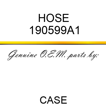 HOSE 190599A1