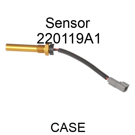 Sensor 220119A1