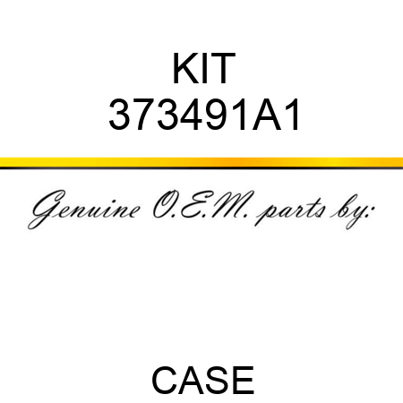 KIT 373491A1