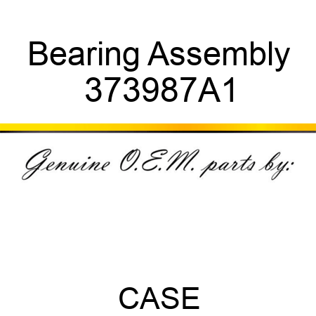 Bearing Assembly 373987A1