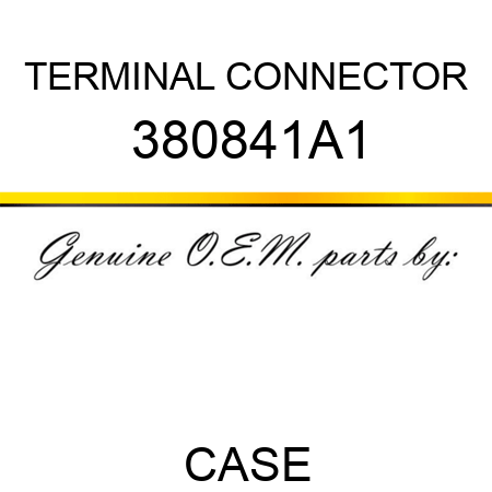 TERMINAL CONNECTOR 380841A1