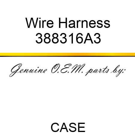 Wire Harness 388316A3