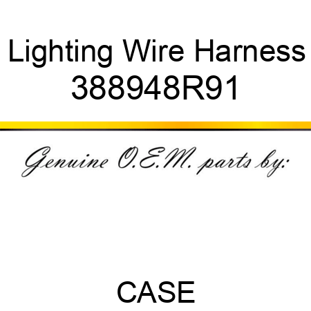 Lighting Wire Harness 388948R91