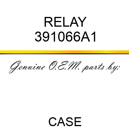 RELAY 391066A1