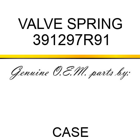 VALVE SPRING 391297R91