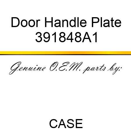 Door Handle Plate 391848A1