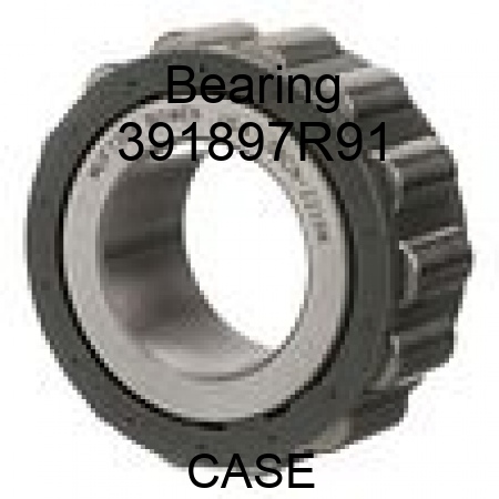 Bearing 391897R91
