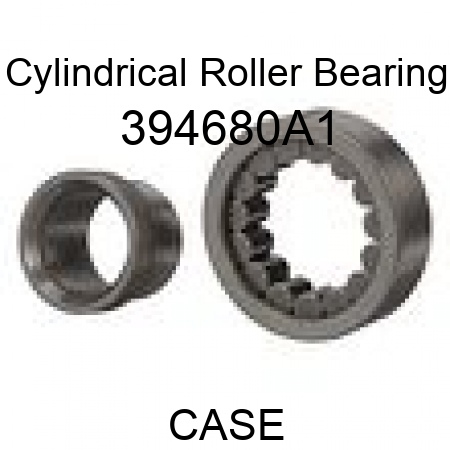 Cylindrical Roller Bearing 394680A1