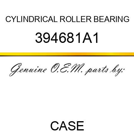 CYLINDRICAL ROLLER BEARING 394681A1