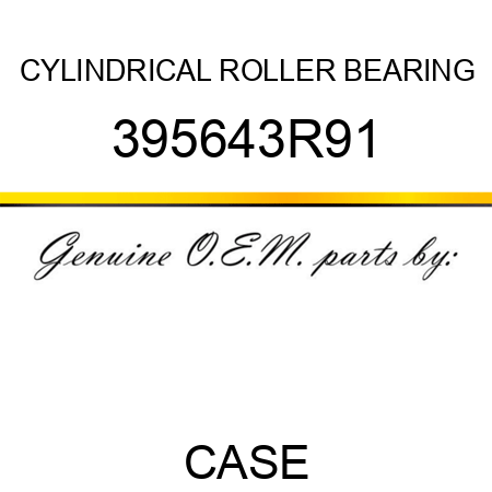 CYLINDRICAL ROLLER BEARING 395643R91