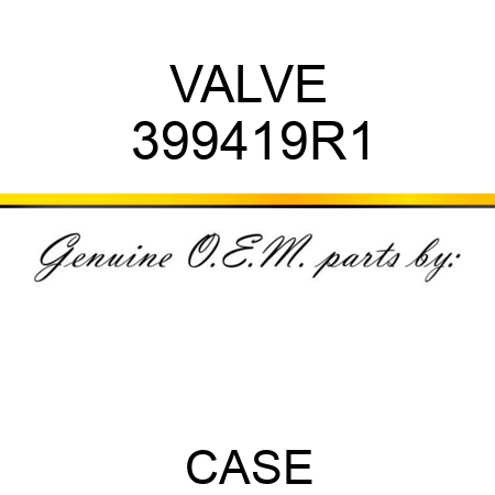 VALVE 399419R1