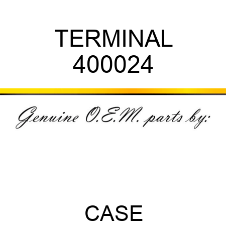 TERMINAL 400024