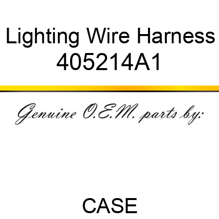 Lighting Wire Harness 405214A1