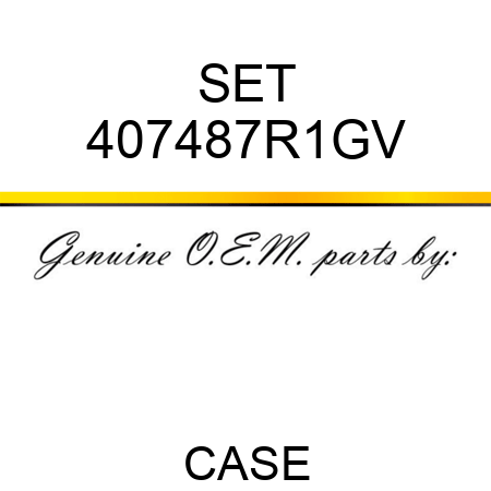 SET 407487R1GV