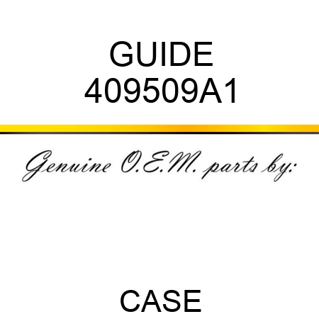 GUIDE 409509A1