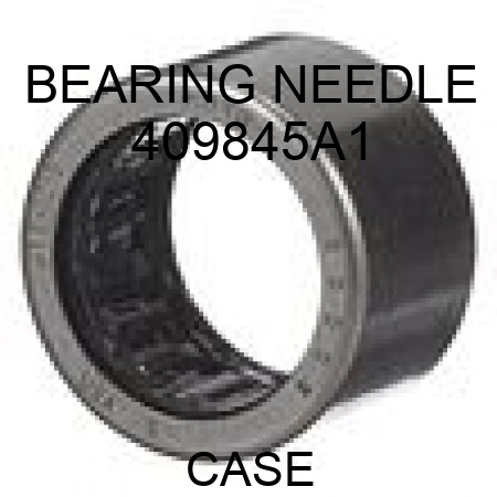 BEARING, NEEDLE 409845A1