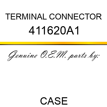 TERMINAL CONNECTOR 411620A1