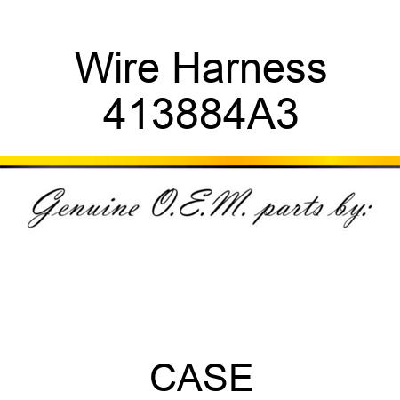 Wire Harness 413884A3